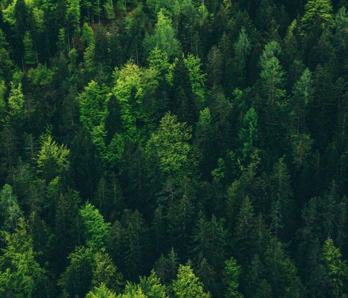 klima-schutz-print-druckerei-dortmund-ökologisch-klimafreundlich-klimaneutral